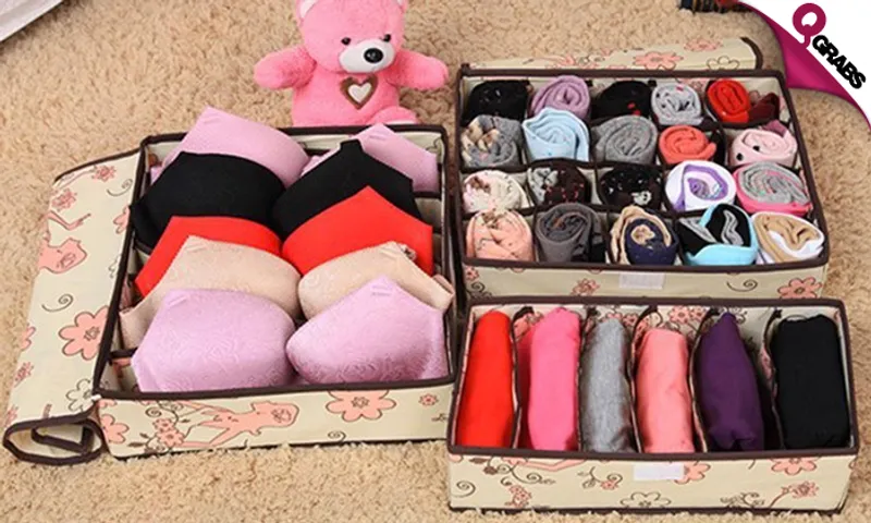 Foldable Innerwear Organizers!